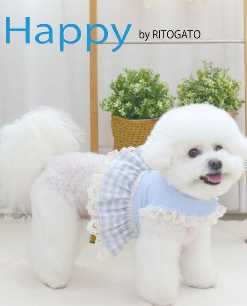 画像1: 日本未入荷/RITOGATO HAPPYハーネス【送料無料】 (1)